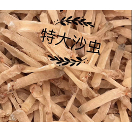 湛江海味干货批发 口碑与折扣并存的优质之选