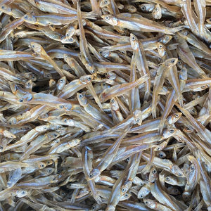 北海银鱼仔 鲜美海味，干货之选——最新批发报价与市场指南