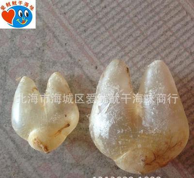 珍品荟萃，健康之源——探索巴巴批发绿色保健系列海味干货