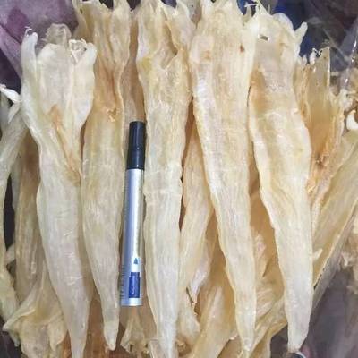 老友记海味药材商行 一站式海产与药材干货采购殿堂