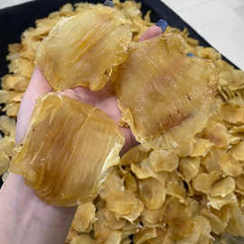 深海臻品，滋补圣味 嘴鳘鱼胶与红鸡赤的味蕾饕宴