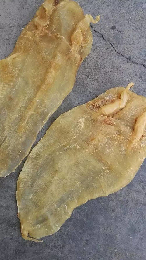 昌盛海味行 优质海产与海味干货的批发与零售专家