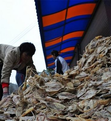 春节临近北海干海味交易额突破千万元