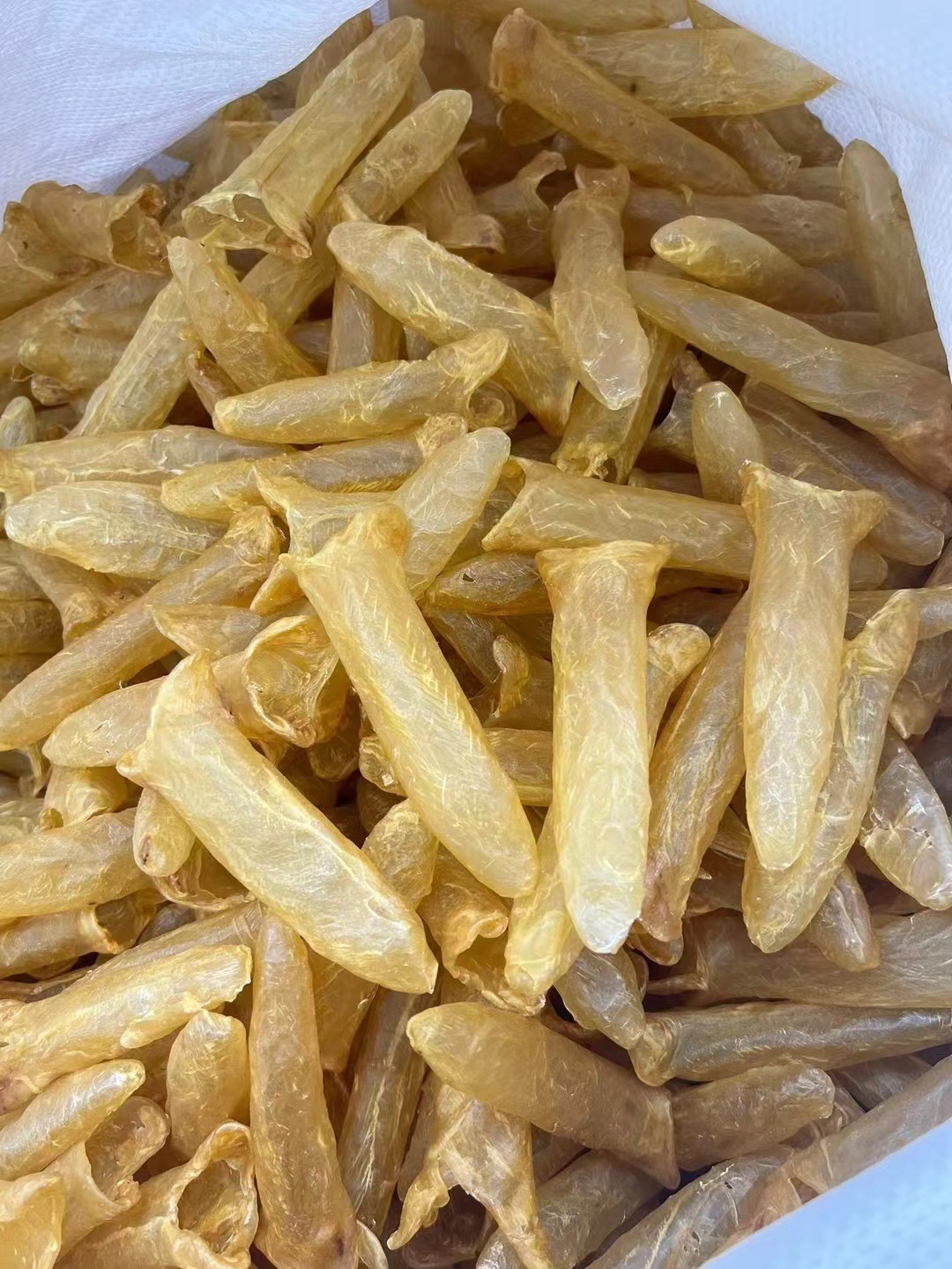 足干正品黄花筒鱼胶 孕妇滋补与送礼佳品