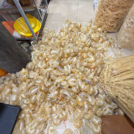 缅甸鱼胶 海味干货批发的珍宝